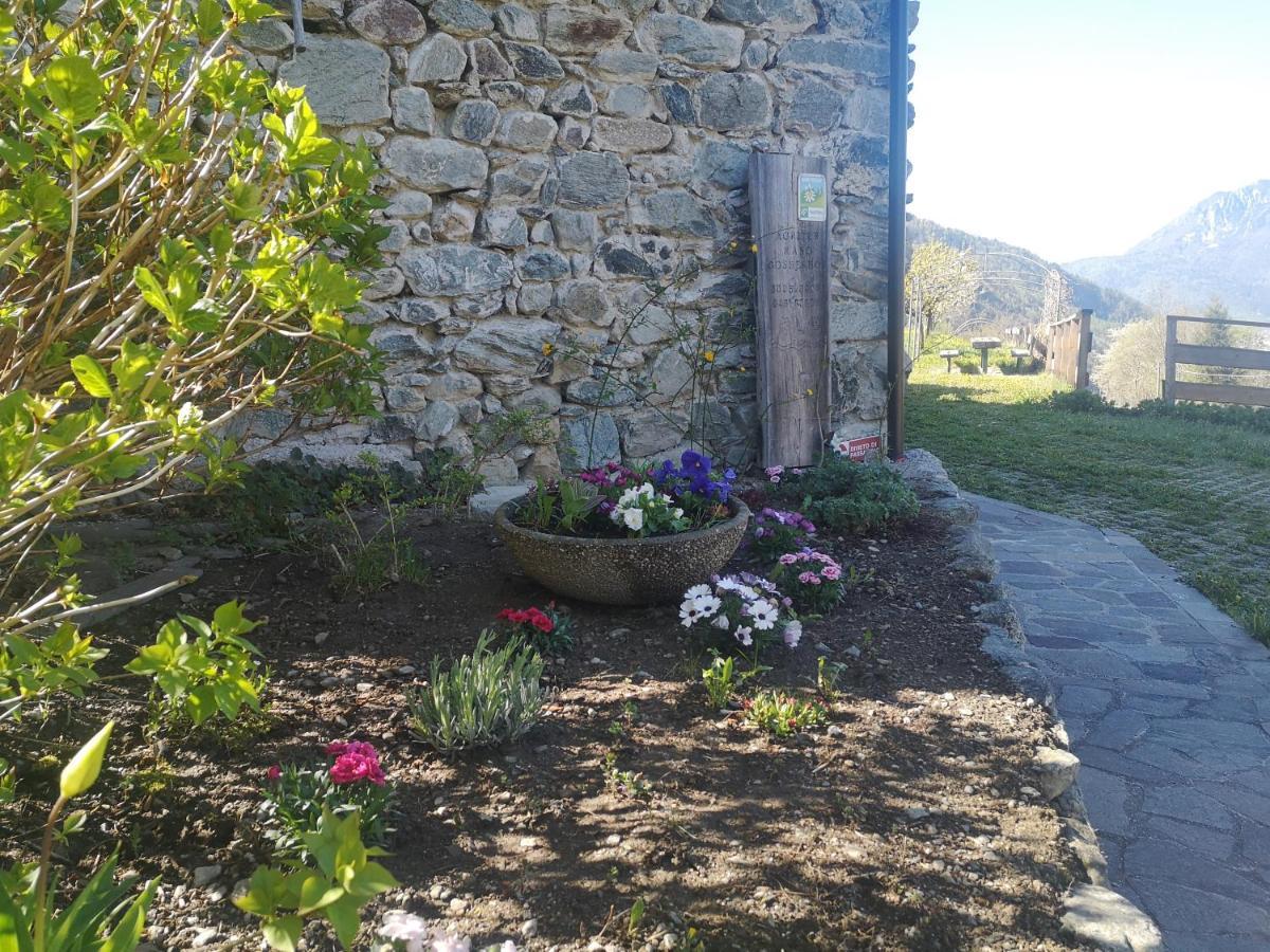 Agritur Maso Gosserhof Bauernhof