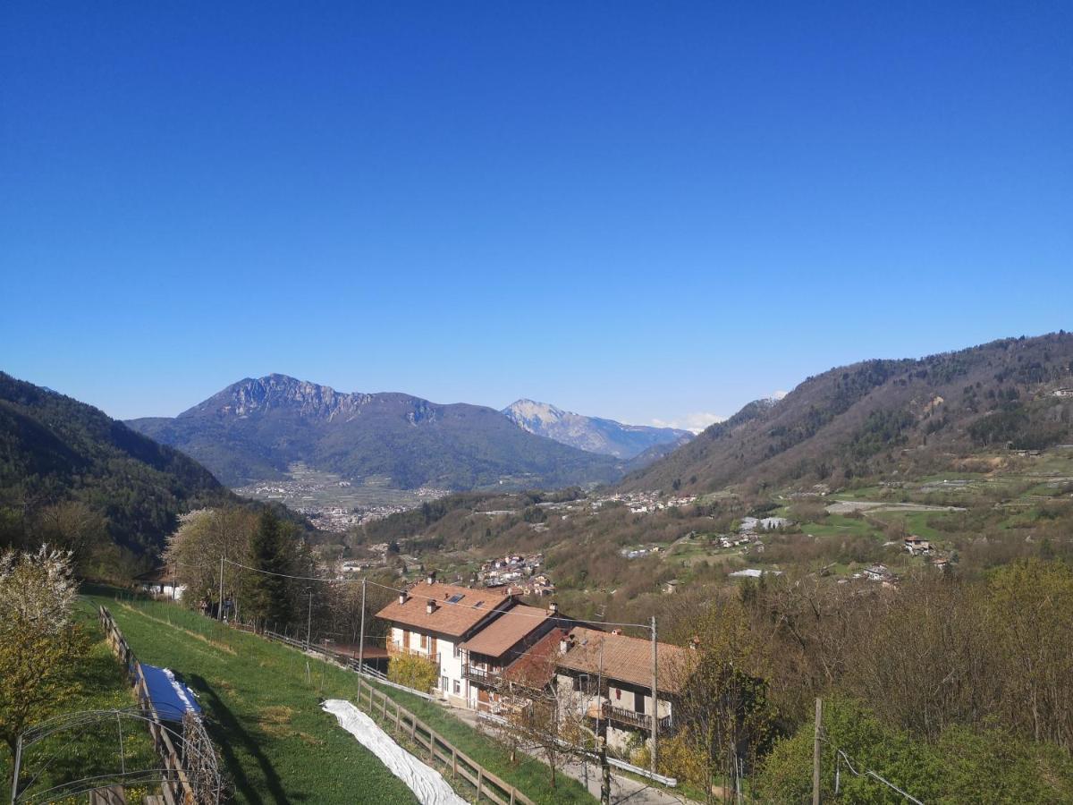 Bauernhof Agritur Maso Gosserhof *